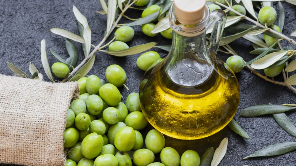 Olive Farming Investment Project🫒